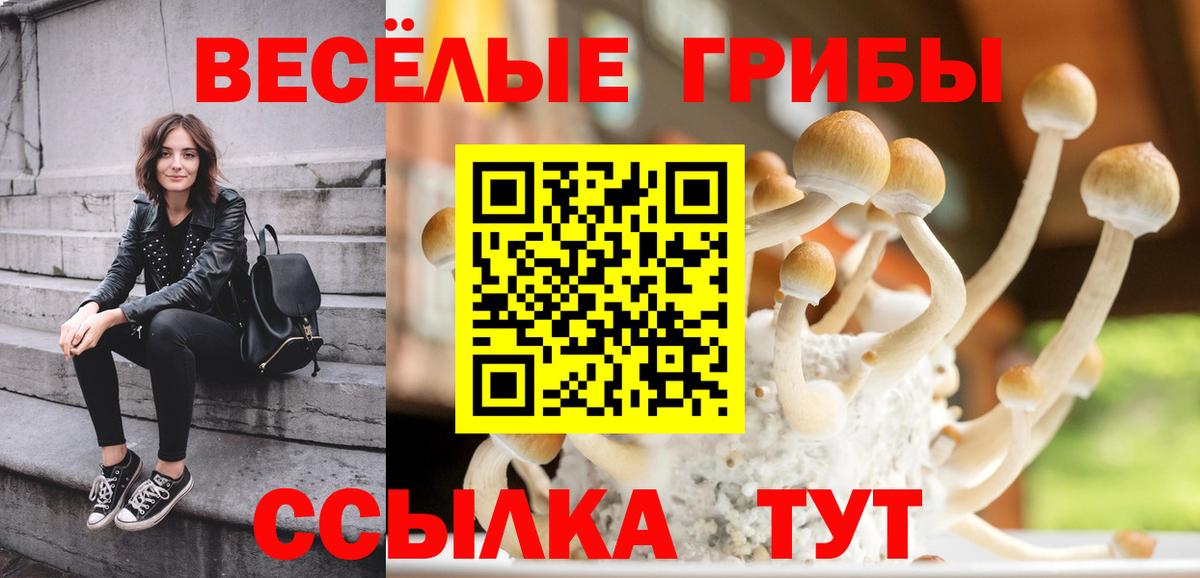 Галлюциногенные грибы GOLDEN TEACHER  Псилоцибиновые грибы GOLDEN TEACHER  Вход с VPN  Симферополь 