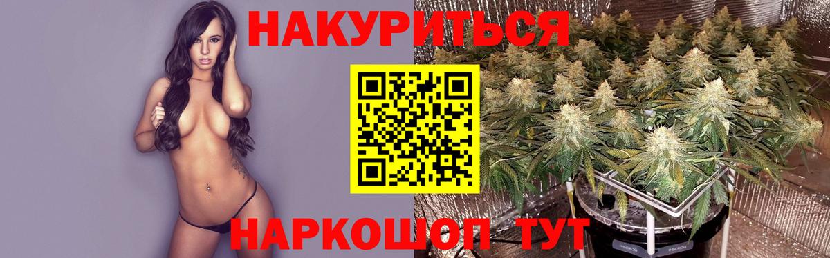Конопля Bruce Banner  Вход с VPN  Конопля план  Конопля ГИДРОПОН  Симферополь 